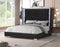 Alfa Queen Bed with LED - Black - The Fine Furniture