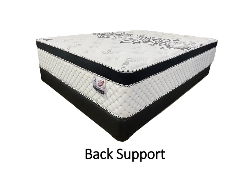 Back Support Euro Top and Tight Top Mattress - The Fine Furniture