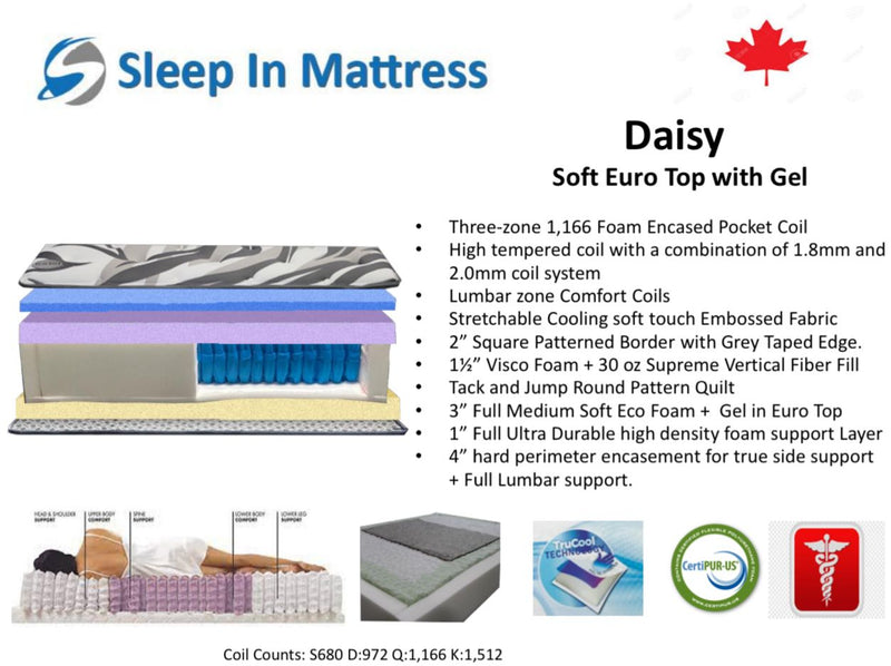Daisy Euro Top Mattress