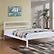Archer Bed - Single/Double With Trundle Pull out or Drawers - White - The Fine Furniture