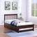 Everly Bed - Single/Double With Trundle Pull out or Drawers - Espresso - The Fine Furniture
