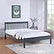 Everly Bed - Single/Double With Trundle Pull out or Drawers - Grey - The Fine Furniture