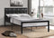 Tara Bed Frame - Black - Single/Double/Queen - The Fine Furniture