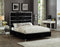 Zendaya Bed Frame - Black - Queen/King - The Fine Furniture
