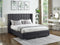 Mia Bed Frame - Black Velvet Fabric - Queen/King - The Fine Furniture