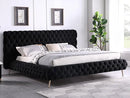 Camila Bed Frame - Black Velvet Fabric - Queen/King - The Fine Furniture