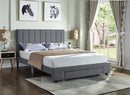 Celeste Bed Frame - Double/Queen - Grey - The Fine Furniture